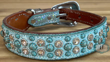 Load image into Gallery viewer, Dog collar #72231294 (13&quot; - 17&quot;)