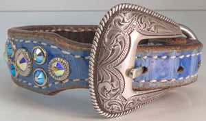 Dog Collar #5232024156 (9 1/2" - 11 1/2")