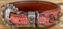 Load image into Gallery viewer, Dog collar #72231251 (10 1/2&quot; - 12 1/2&quot;)