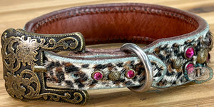 Dog collar #72231259 (10 1/2" - 12 1/2")