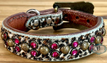 Load image into Gallery viewer, Dog collar #72231259 (10 1/2&quot; - 12 1/2&quot;)
