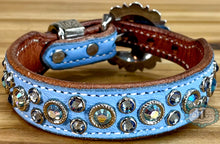 Load image into Gallery viewer, Dog collar #72231264 (10 1/2&quot; - 12 1/2&quot;)