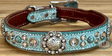 Load image into Gallery viewer, Dog collar #72231304 (15 1/4&quot; - 18 1/4&quot;)
