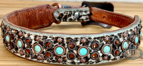Dog collar #72231307 (17