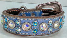 Load image into Gallery viewer, Dog Collar #5232024156 (9 1/2&quot; - 11 1/2&quot;)