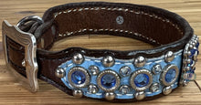 Load image into Gallery viewer, Dog Collar #38179190 (14&quot; - 16&quot;)