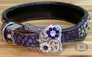 Dog collar #38718679 (13 1/4" - 16 1/4")