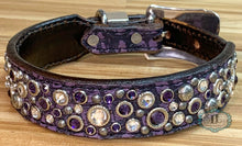 Load image into Gallery viewer, Dog collar #38718679 (13 1/4&quot; - 16 1/4&quot;)