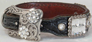 Dog Collar #3821307 (10.5" - 12.5")