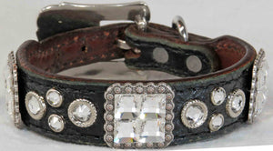 Dog Collar #3821307 (10.5" - 12.5")