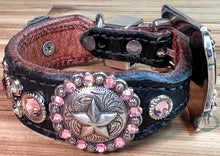 Load image into Gallery viewer, Dog Collar #42125310 (8&quot; - 10&quot;)